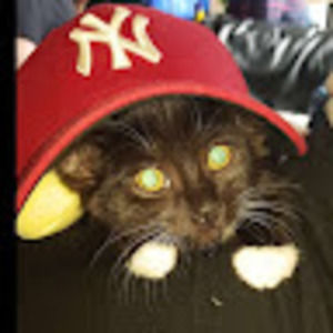 Meet your Posher, Chloe